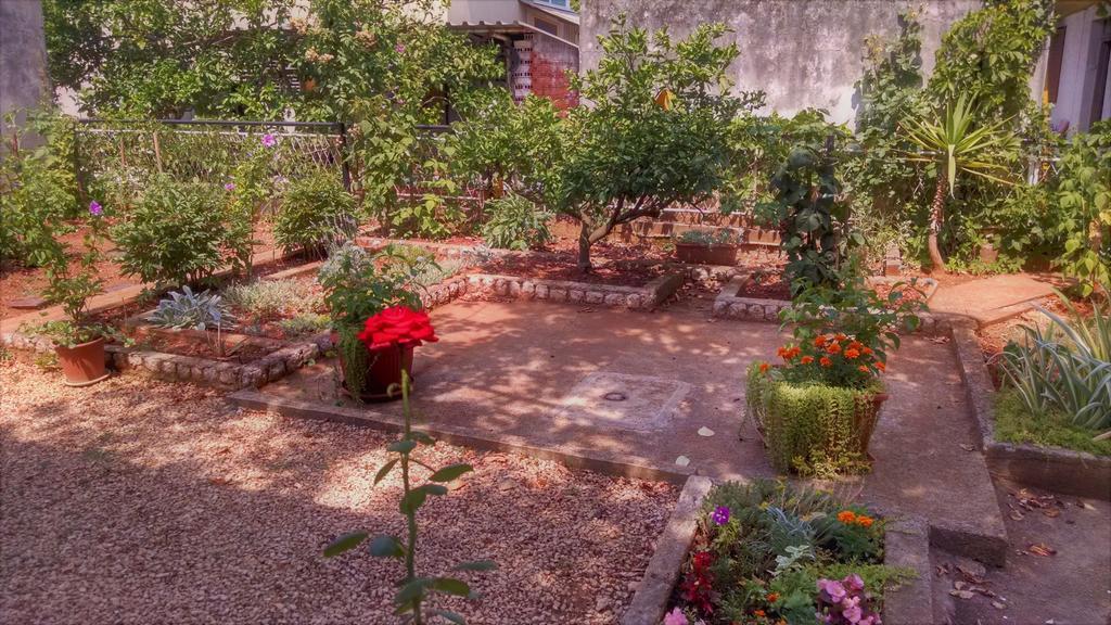 Guest Accommodation Neno Задар Екстериор снимка